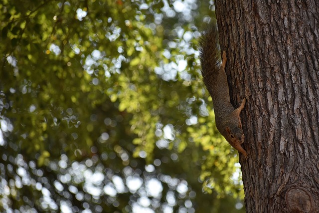昊桐还是对 昊桐还是对