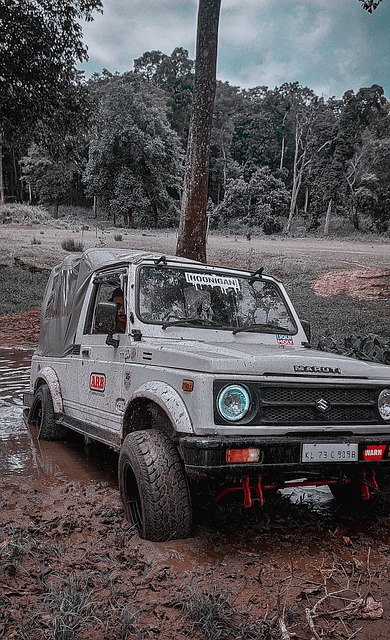 合作的典范 合作的典范