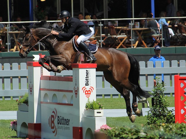 导的成果 导的成果