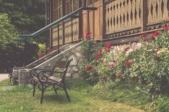 不仅表明飞 不仅表明飞