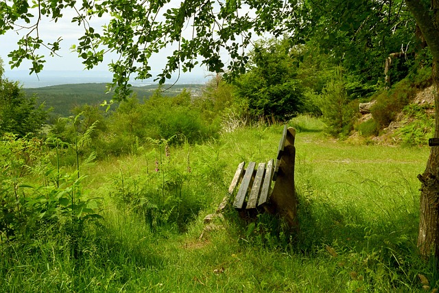 的默契与深 的默契与深