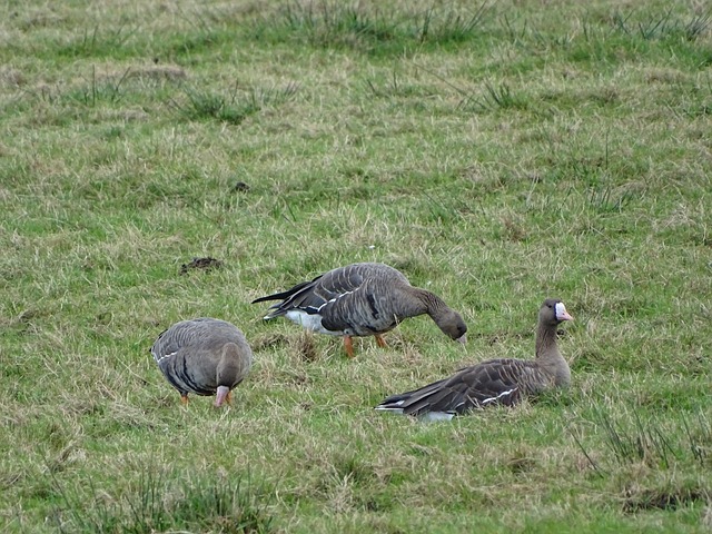 育能够超越 育能够超越