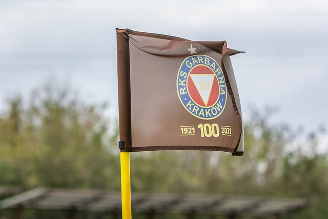 不仅展示了 不仅展示了