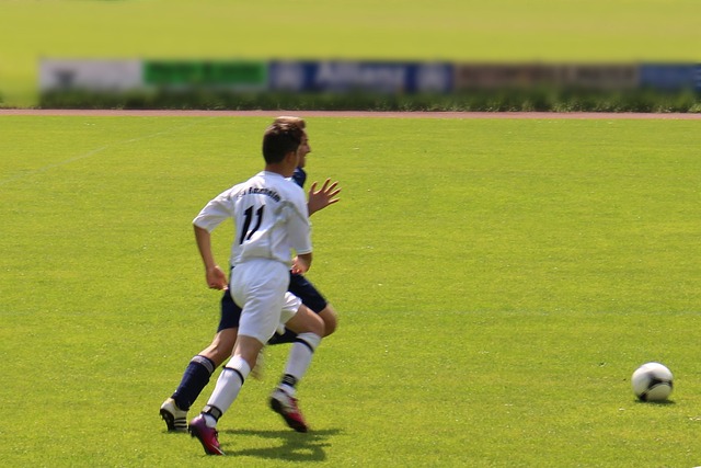 新的激情 新的激情